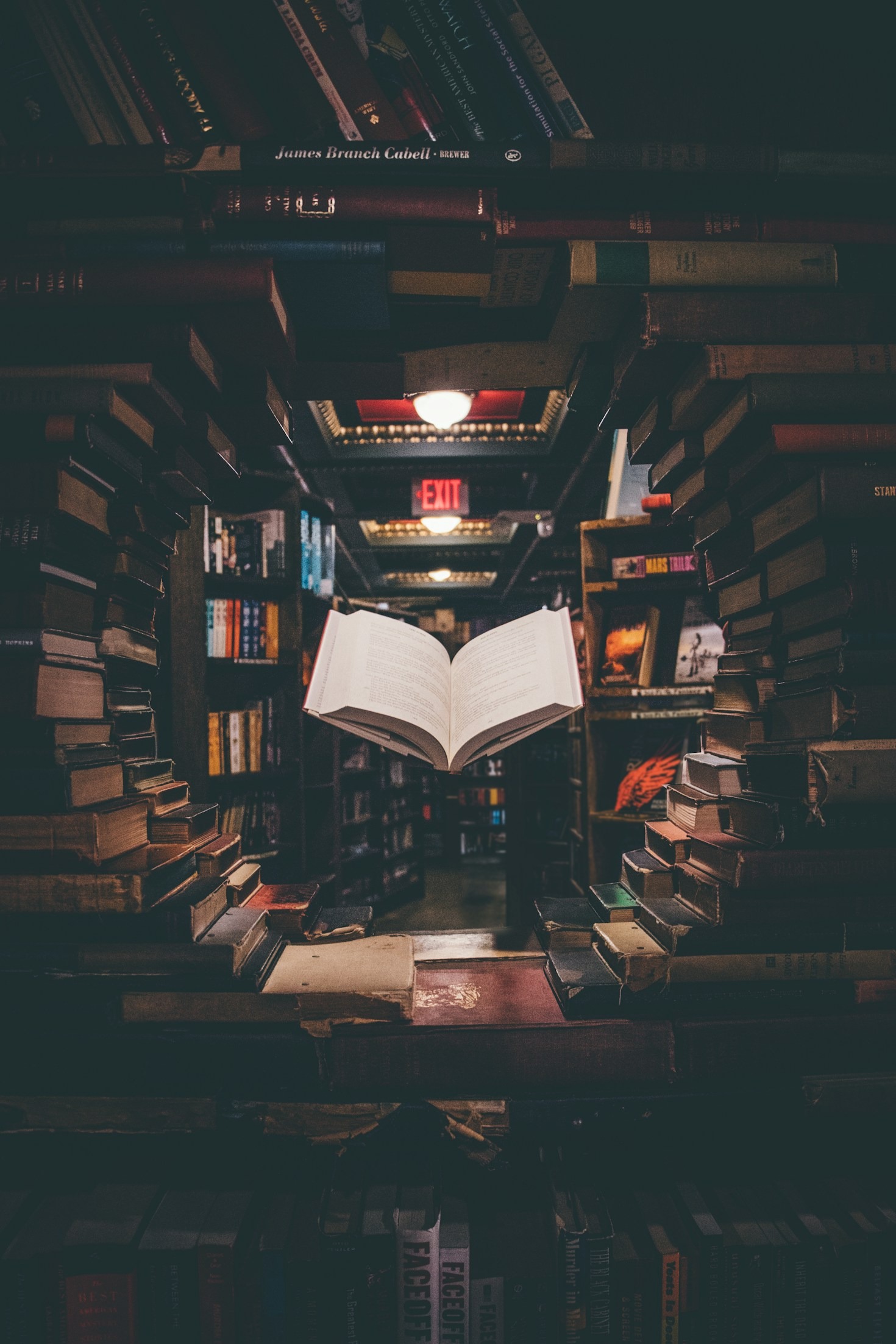 Amanda E. Blundy: Essays That Inspire